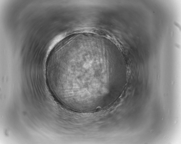 X0000093730006200710301053