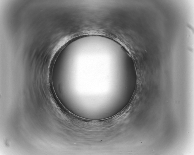 X0000093730008200710301053