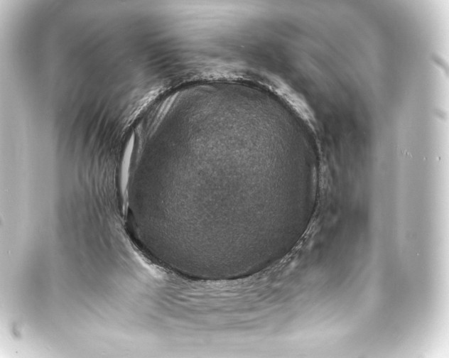 X0000093730009200710301053