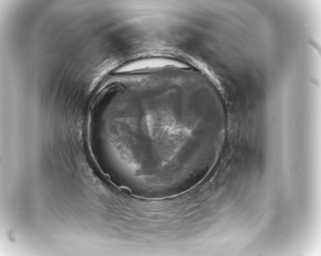 X0000093730010200710301053