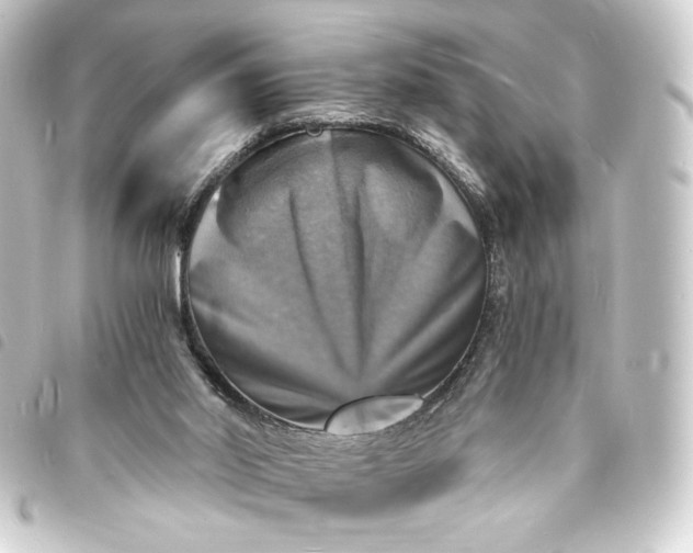 X0000093730014200710301053