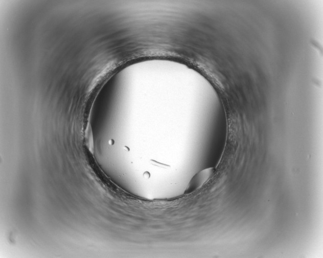 X0000093730015200710301053