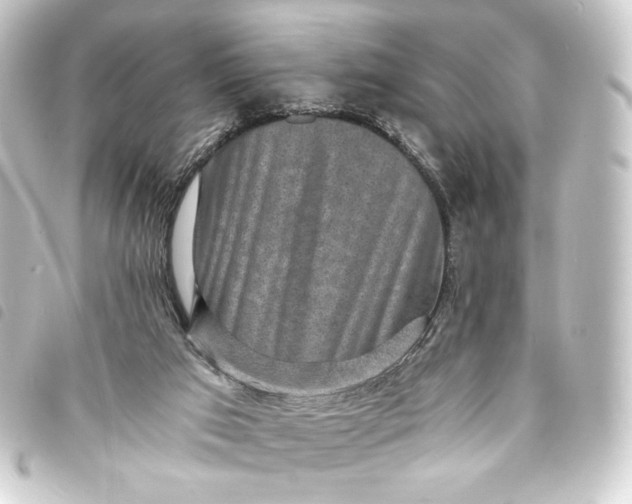 X0000093730017200710301053