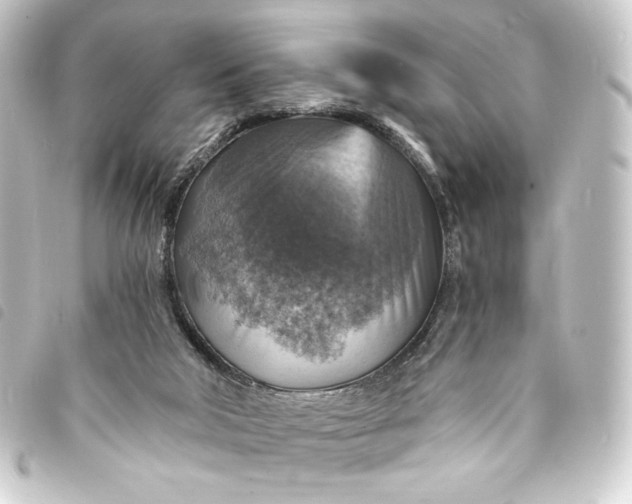 X0000093730018200710301053