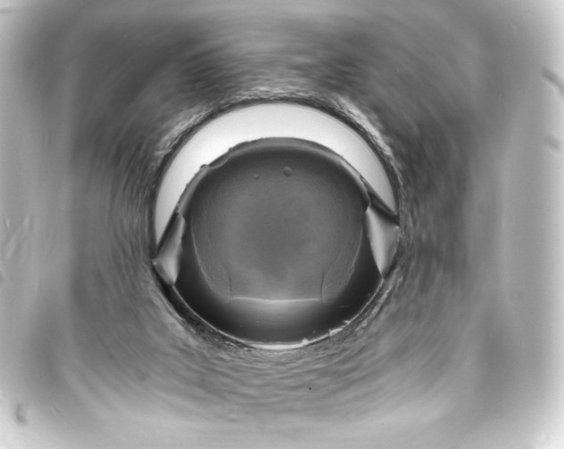 X0000093730019200710301053