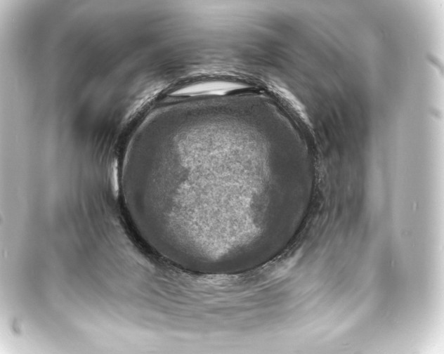 X0000093730020200710301053