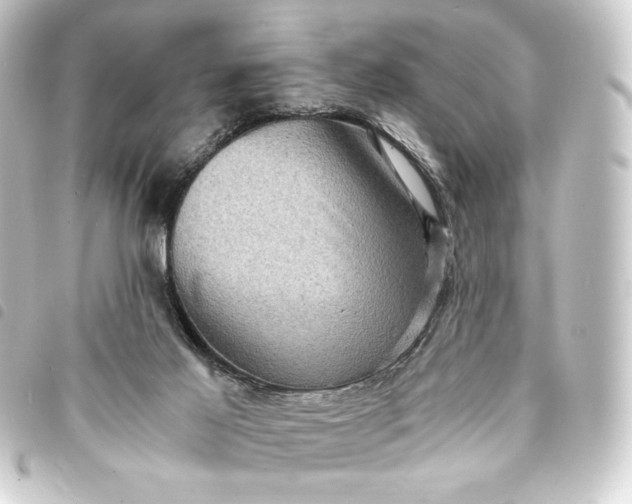 X0000093730021200710301053