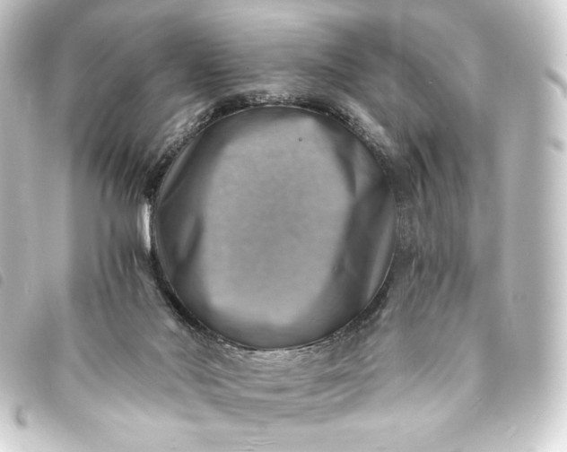 X0000093730022200710301053