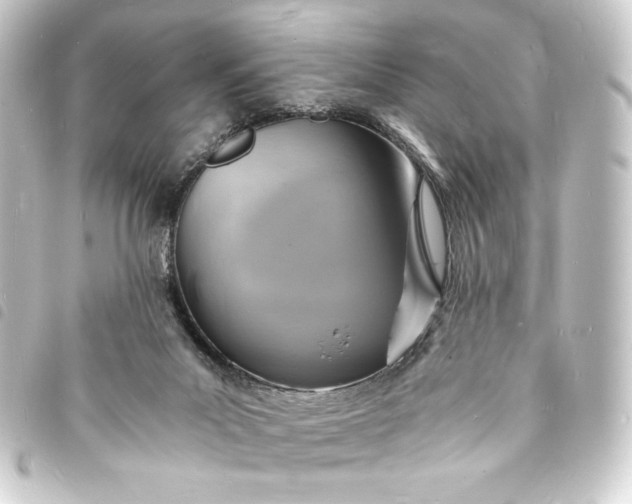 X0000093730023200710301053