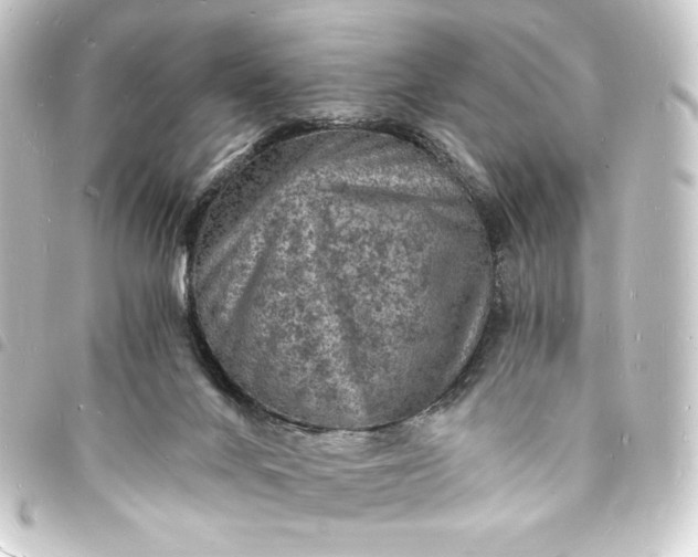 X0000093730024200710301053