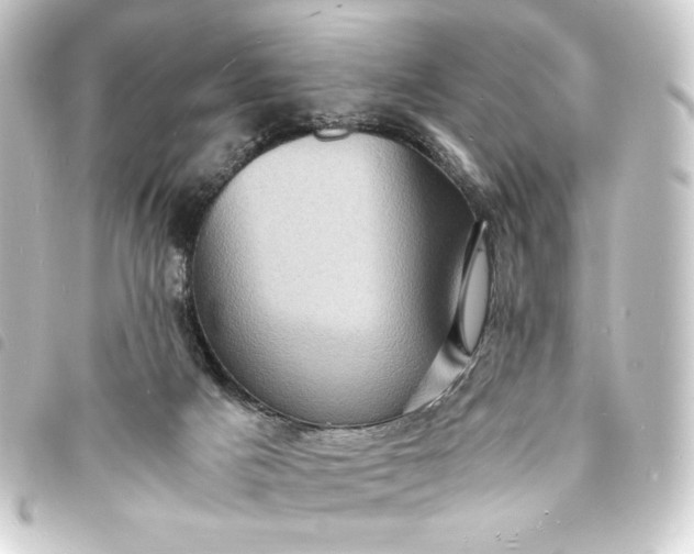 X0000093730025200710301053