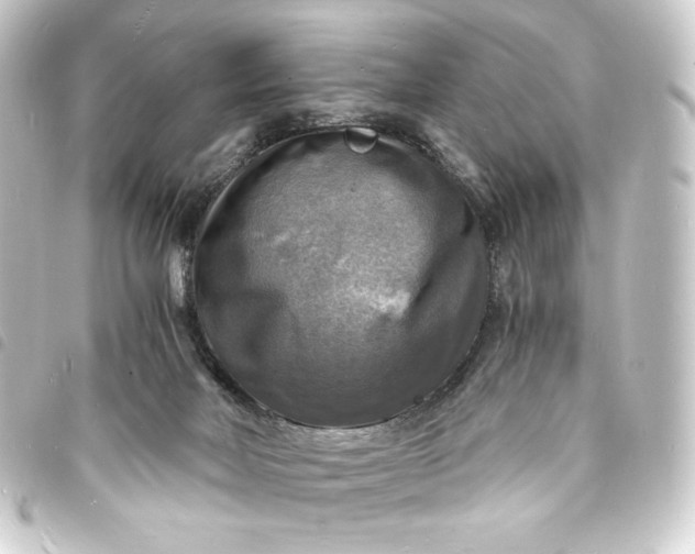 X0000093730026200710301053