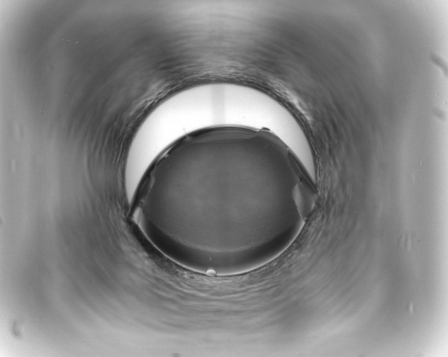 X0000093730027200710301053