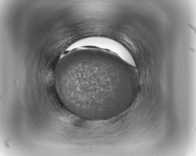 X0000093730029200710301053