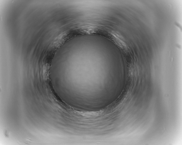 X0000093730030200710301053