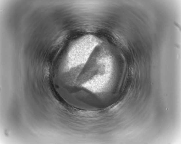 X0000093730032200710301053