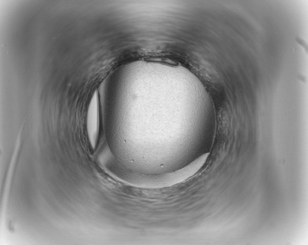 X0000093730033200710301053