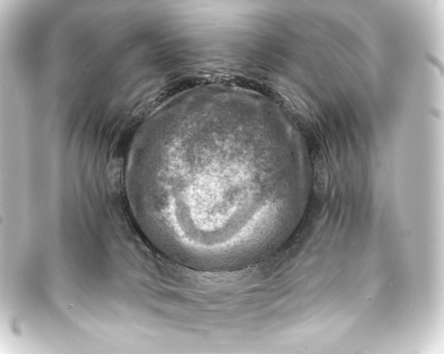 X0000093730034200710301053