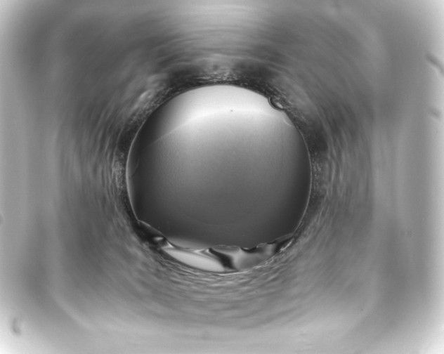 X0000093730035200710301053