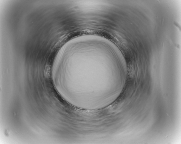 X0000093730036200710301053