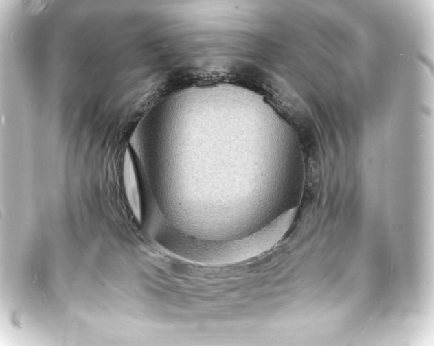 X0000093730037200710301053