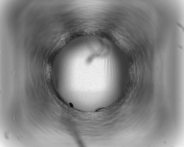 X0000093730038200710301053