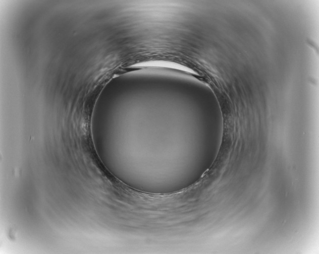 X0000093730039200710301053