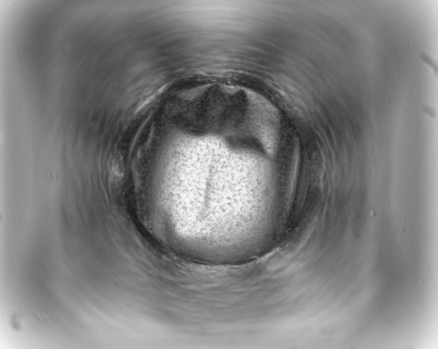 X0000093730040200710301053