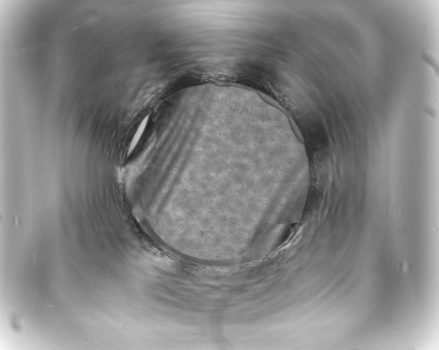 X0000093730041200710301053