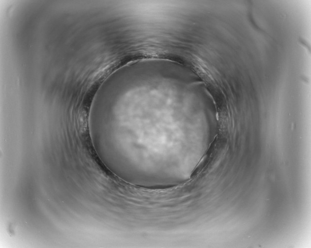 X0000093730043200710301053