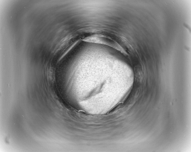 X0000093730044200710301053