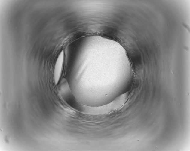 X0000093730045200710301053