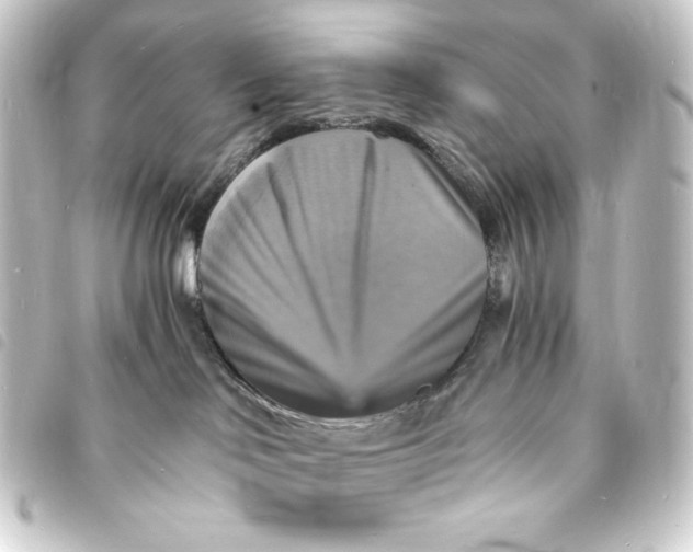 X0000093730046200710301053