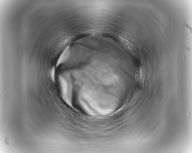 X0000093730047200710301053