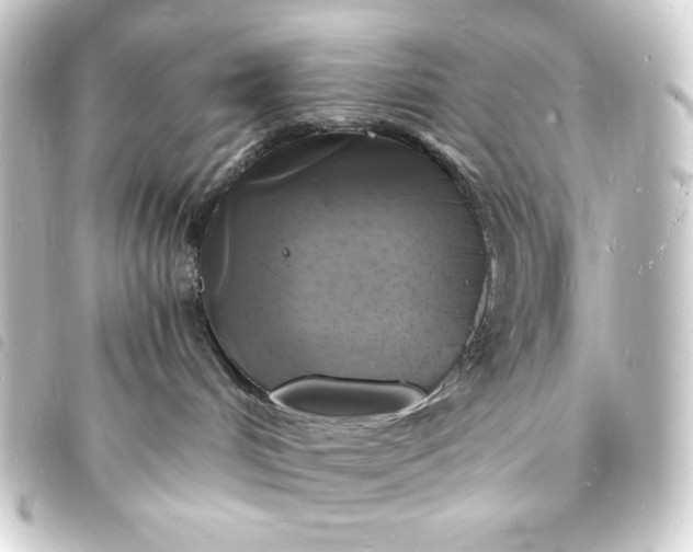 X0000093730048200710301053