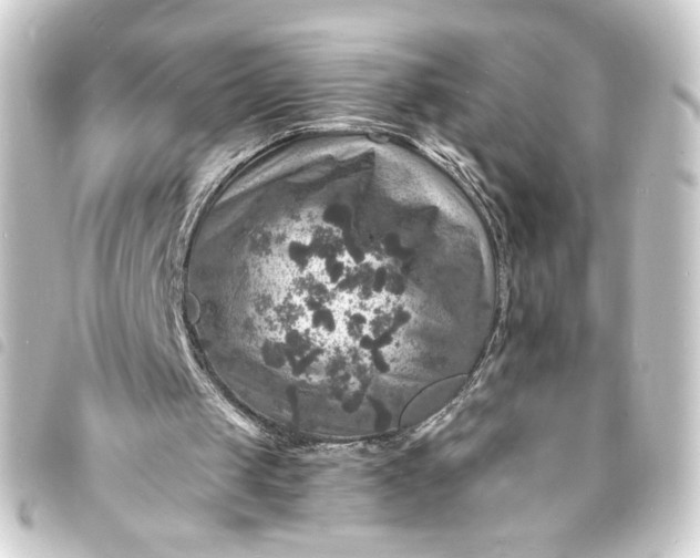 X0000093730049200710301052