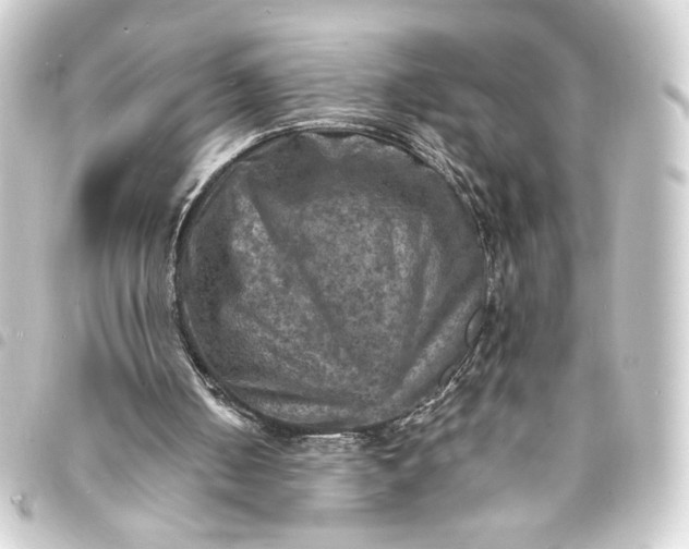 X0000093730050200710301052