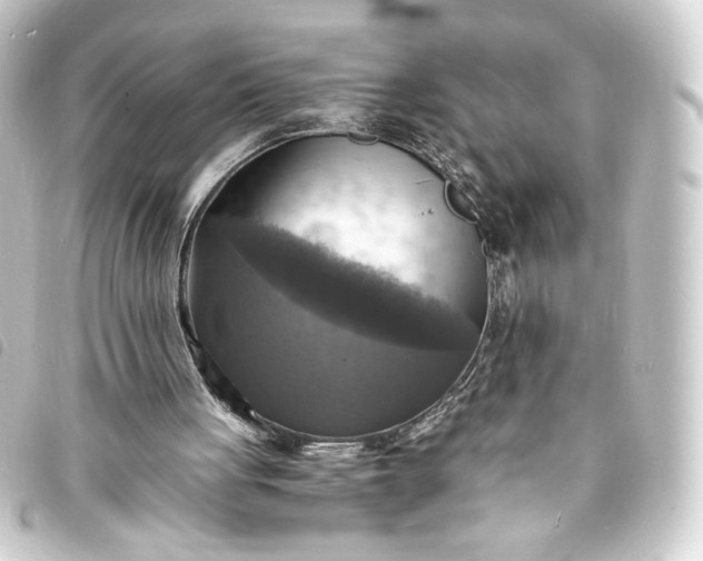 X0000093730051200710301052