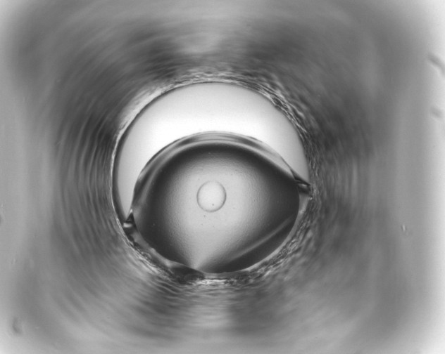 X0000093730052200710301052