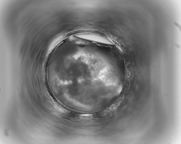 X0000093730053200710301052