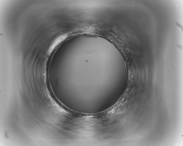 X0000093730054200710301052