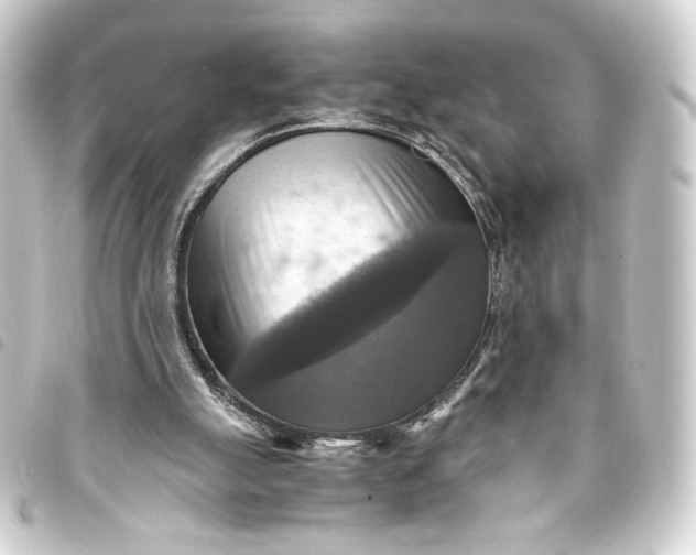 X0000093730055200710301052