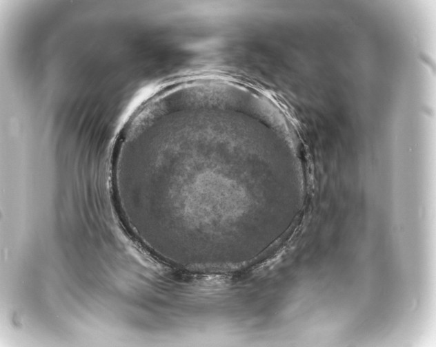 X0000093730056200710301052