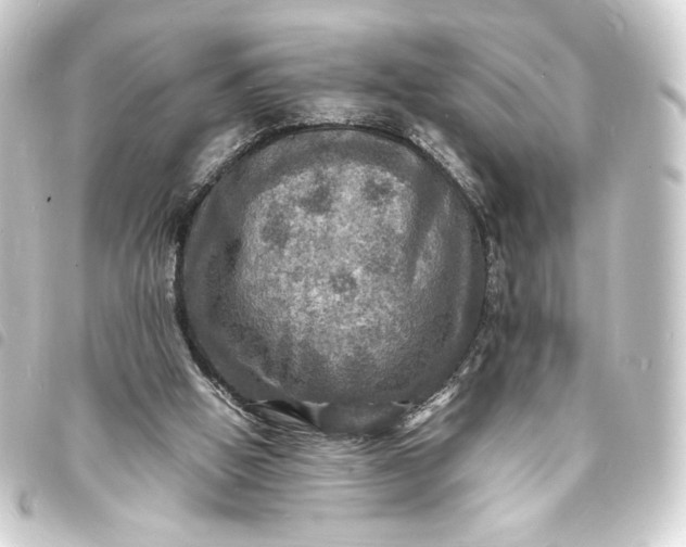 X0000093730058200710301052