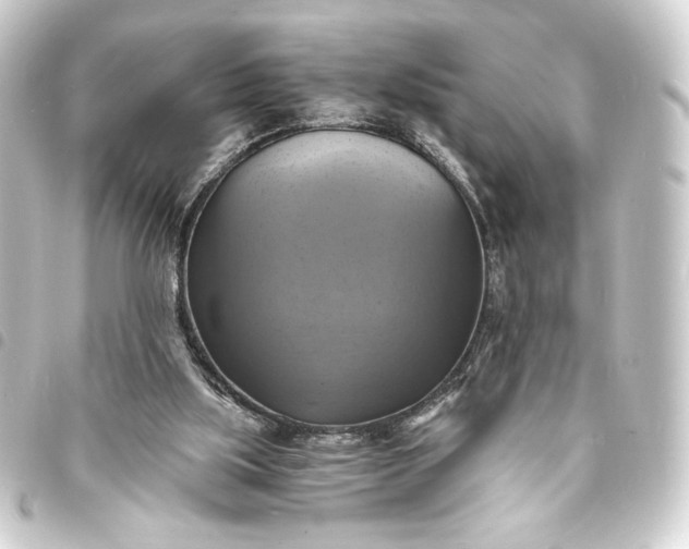 X0000093730059200710301052