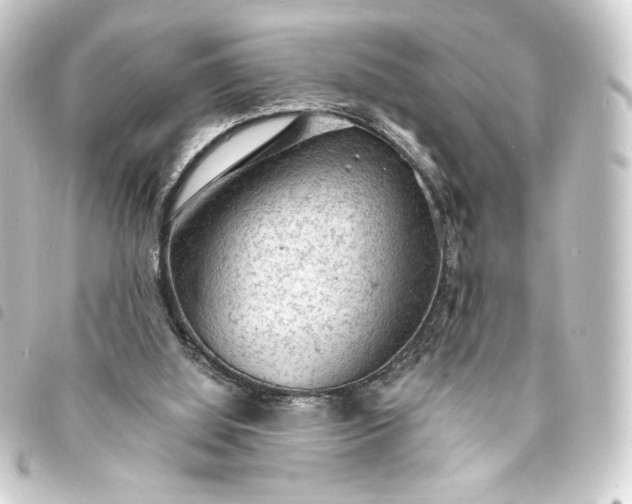 X0000093730060200710301052