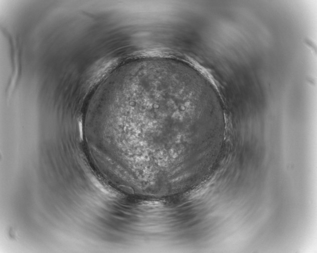 X0000093730061200710301052