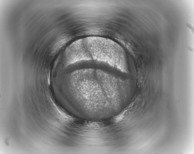 X0000093730062200710301052