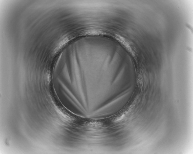 X0000093730063200710301052