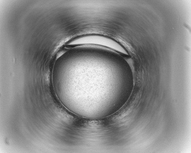 X0000093730064200710301052